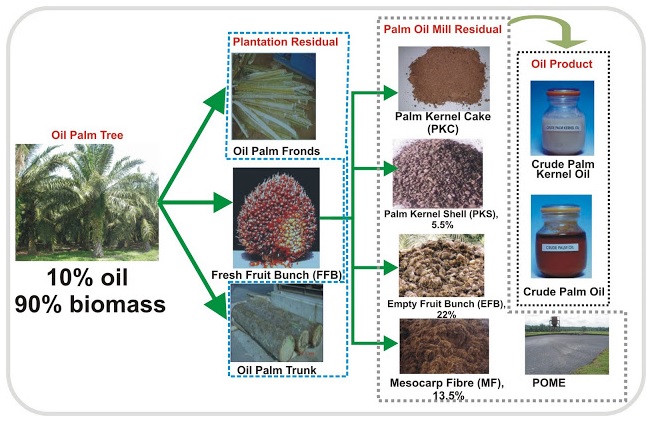 EFB BioCoalR